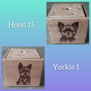 - honden