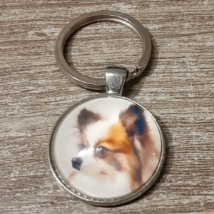 hond
