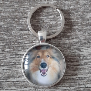 hond1