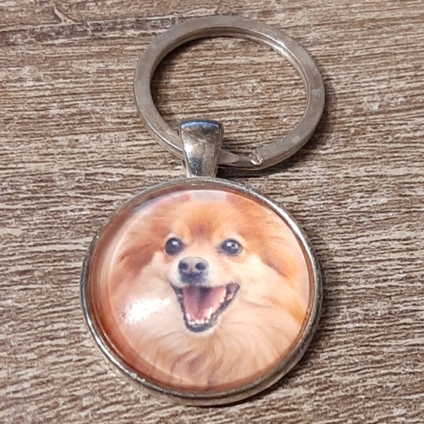 hond10