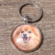 hond10