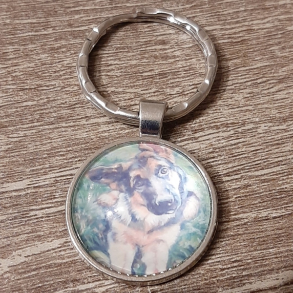 hond14