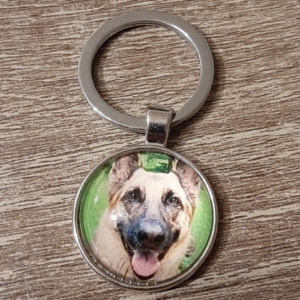 hond16