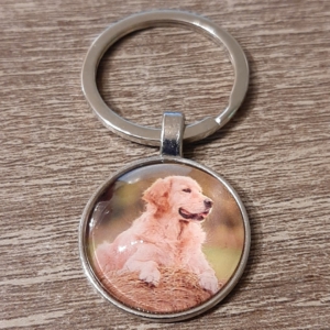 hond18