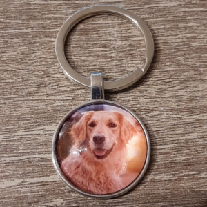 hond19