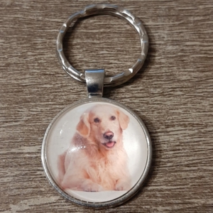 hond20