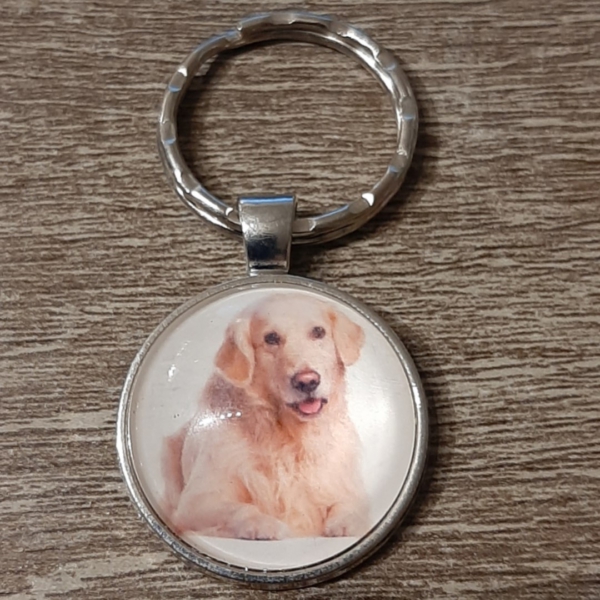 hond20
