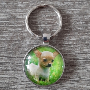 hond5