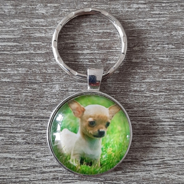 hond5