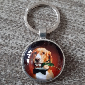 hond7