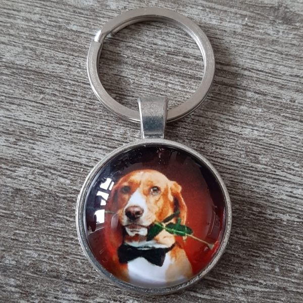 hond7
