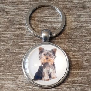 - -honden