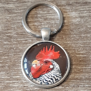 - boerderijdieren