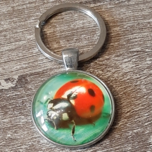 - overige dieren