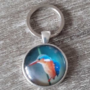 - vogels