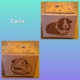 cavia