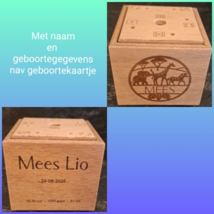 2025_11_11_21_46_42_401