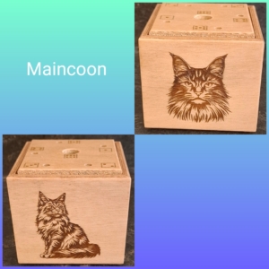 2026_01_18_22_17_44_923