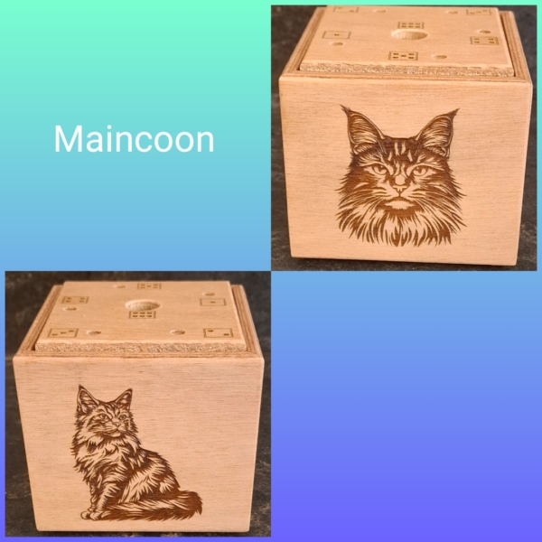 2026_01_18_22_17_44_923